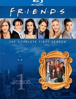  (1 )  / Friends (1 season) (1994) HD 720 (RU, ENG)