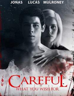    / Careful What You Wish For (2015) HD 720 (RU, ENG)