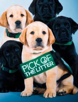   / Pick of the Litter (2018) HD 720 (RU, ENG)