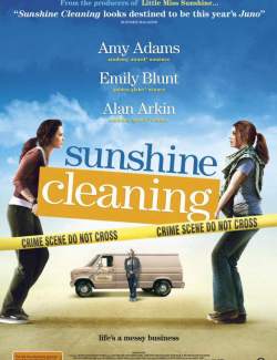    / Sunshine Cleaning (2008) HD 720 (RU, ENG)