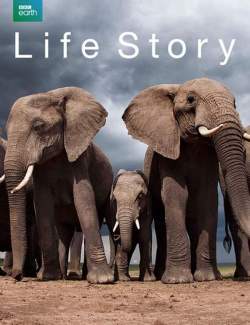   ( 1) / Life Story (season 1) (2014) HD 720 (RU, ENG)