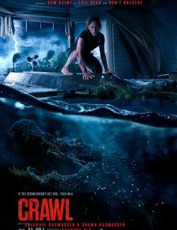  / Crawl (2019) HD 720 (RU, ENG)