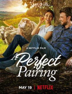   / A Perfect Pairing (2022) HD 720 (RU, ENG)